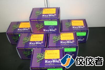 �N��(bi��o)��Ʒ�D